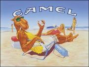 Cheapest Cigarettes Online Store,  Camel Cigarettes Brands