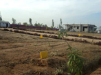 Rs 350/-sq ft Grace royal homes plot for sale in Hosur