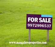 15.66 acre agriculture land for sale in Elimala,  Sulia.