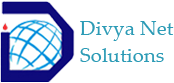 Business Web Portal Development at Affordable Price - DivyaNet Solutio
