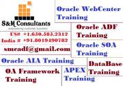 Best Oracle AIA 11g Training Online by Expert Trainers