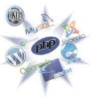 Get Your Website Designed by NO 1 Web Designing Company in Bangalore