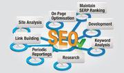 SEO Courses in Bangalore | IIMC India