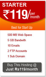 Fast And Reliable Web Hosting That Suits Your Needs