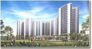 ELITA PROMENADE 3BHK SALE IN J P NAGAR