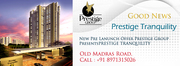 PRESTIGE TRANQUILITY call -8971315026