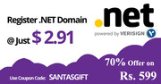 Exclusive offer on .NET domain