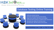 Job Oriented Database Testing Online Training