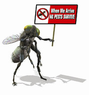 Commercial Pest Control Services