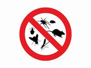 Residential Pest Control Services in Bangalore