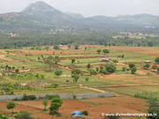 DEVELOPED LAND FARMS IN BANGLORE AT REASONABLE PRICE only RS, 277pr, sq, 