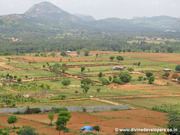 Buy a land and get a complimentary plant 