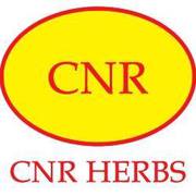 psoriasis treatments chennai,  cnrherbs,  drcnrajadurai,  cnr herbs revie