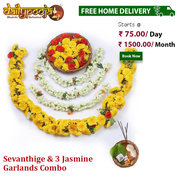 1 Sevanthige & 3 Jasmine Garlands Combo @ Rs 75 Per Day 