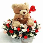 Send new born flowers in India