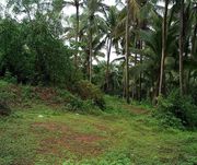 36 cents land for sale at sliver gate for Rs.1.26 cr