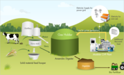 Biogas Power Plant Supplier
