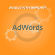 DLI - Digital Marketing and Adwords Certification 