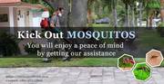 Mosquito Control Service at your doorstep 