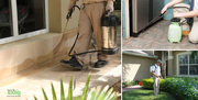 Get robust pest control services in Bangalore at TechSquadTeam 