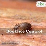 Book a reliable booklice Control Services in Bangalore 