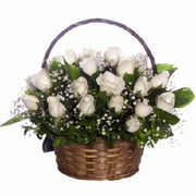 Are you looking for fresh flowers in Mysore!!!