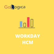 Workday HCM online training