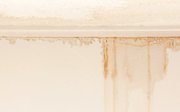 Building Water Leakage Solutions Services