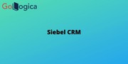 Siebel CRM Training