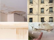  Exterior Wall Crack Repair Solutions