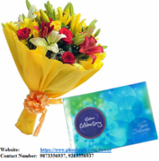 Best Gifts Delivery to Bangalore 