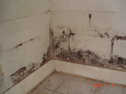 Bathroom Waterproofing Solutions in Bangalore