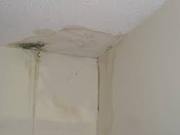 Water Leakage Waterproofing Solutions in Bangalore