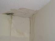 Water leakage Waterproofing Services in Bangalore