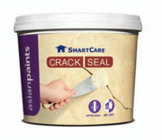 Asian Paints SmartCare Crack Seal