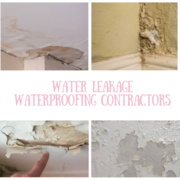 Water leakage Waterproofing Contractors in Whitefield
