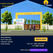 Farm House for Sale in Devanahalli