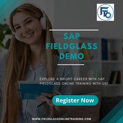 SAP Fieldglass Online Training