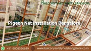 Pigeon net installation bangalore