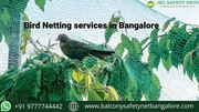 Bird Netting services in Bangalore