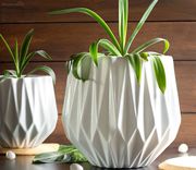 Find table flower pot & table planters online at Wooden Street