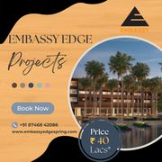 Embassy Edge Spring - Embassy Edge Project