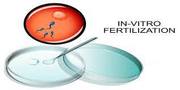  IUI Treatment Cost In Bangalore - Fertility Hospital Near Me - Fertil