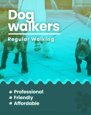 Dog walking services Bangalore 