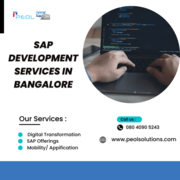 SAP Development Services in Bangalore