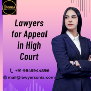 Lawyers for Appeal in High Court | Lawyers for Men