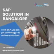 Top Sap Solution Providers in Bangalore