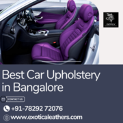 Car upholstery in Bangalore Exotica leathers