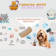Discover Top-notch Pet Grooming Near You 