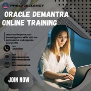 Enrich Your Professional Journey with Proexcellency's Oracle Demantra 